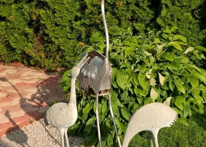 Hochwertiges Steffi Mit Terrasse By Interhome * Balatonbereny